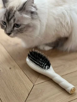 N.02 La Petite Brosse Démêlante & Soin L’INDISPENSABLE Blanc Crème|La Bonne Brosse Best Sale